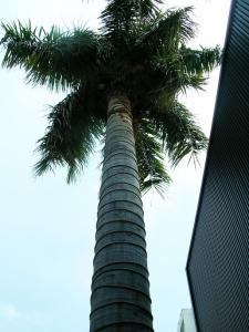 DSCN4819.jpg